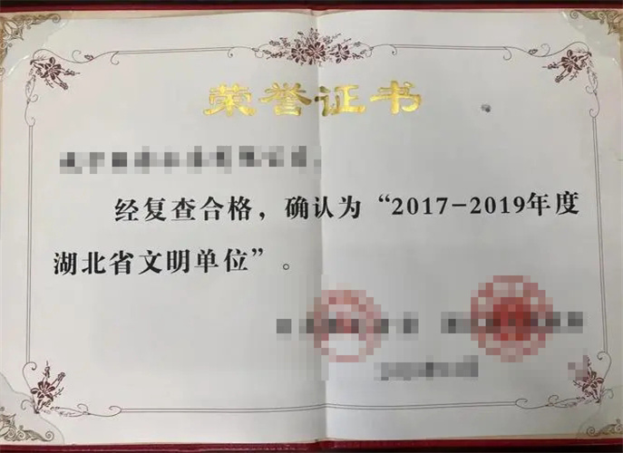荣誉证书5
