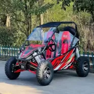 飞神【电动双座卡丁车】