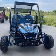 飞神【双座卡丁车】