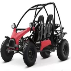 飞神【运动版成人双座卡丁车】