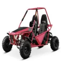 飞神【运动版成人卡丁车】