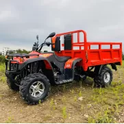 盛巨【龙鼎-F款】