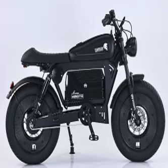 中新华驰【黑武士】